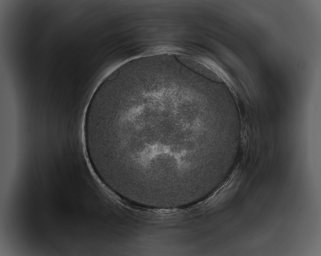 X0000095921055200801111231