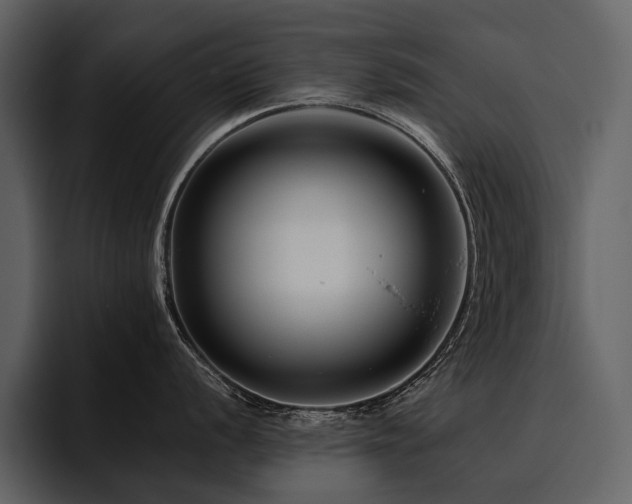 X0000095921056200801111231