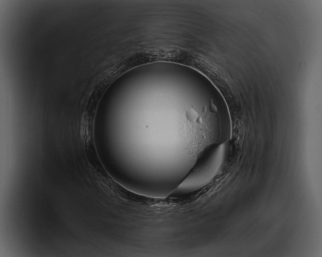 X0000095921058200801111231