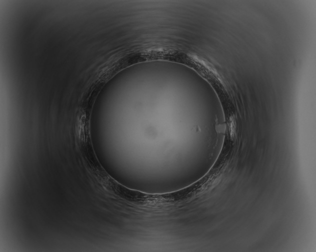 X0000095921059200801111231