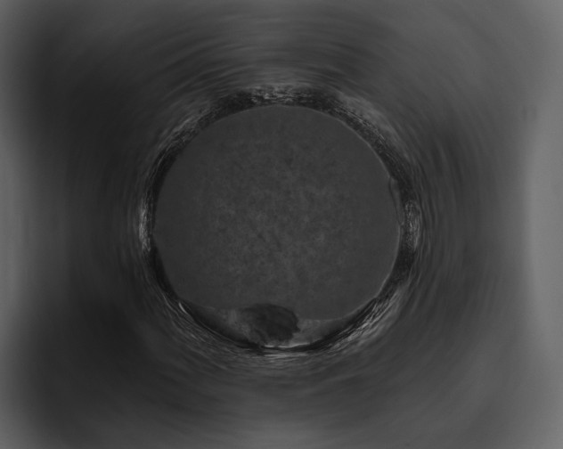 X0000095921060200801111231