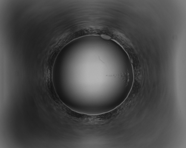 X0000095921061200801111231