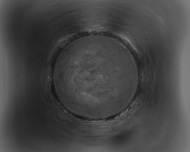X0000095921063200801111230