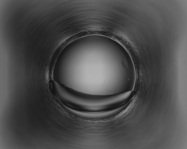 X0000095921065200801111230