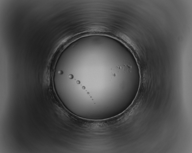 X0000095921067200801111230