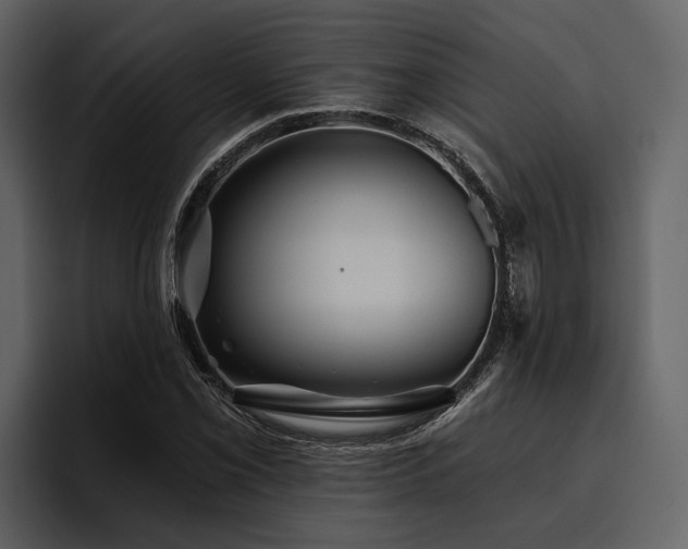 X0000095921069200801111230