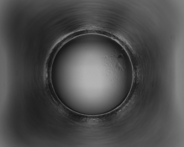 X0000095921070200801111230