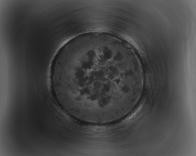 X0000095921071200801111230