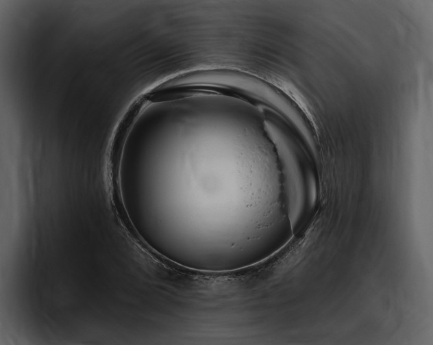 X0000095921072200801111230