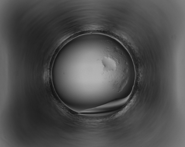 X0000095921073200801111230