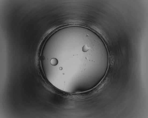 X0000095921074200801111230