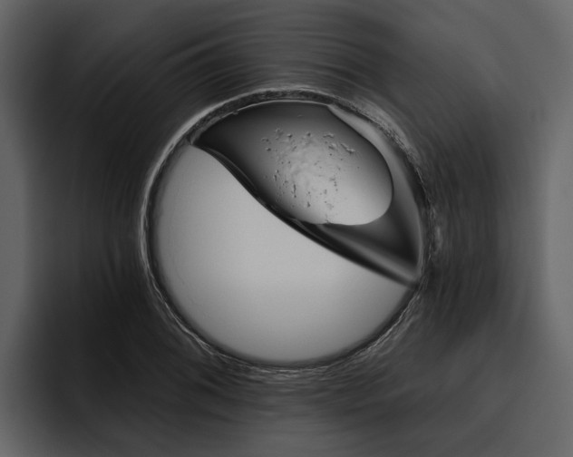 X0000095921076200801111230