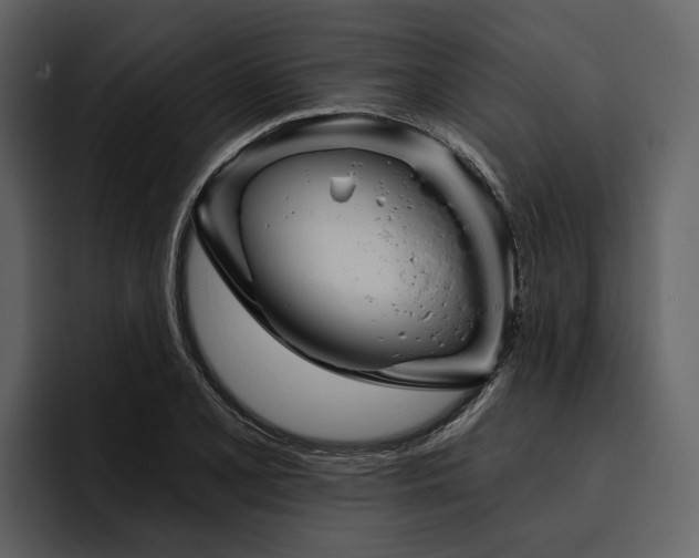 X0000095921077200801111230