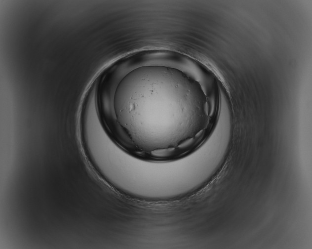 X0000095921080200801111230