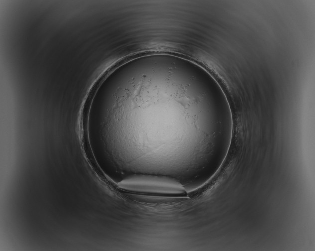 X0000095921082200801111230