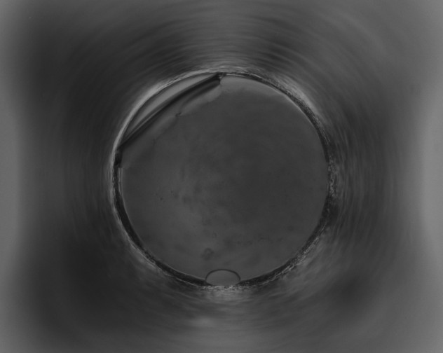 X0000095921087200801111230