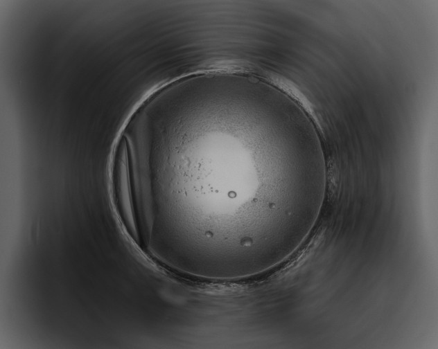 X0000095921091200801111230