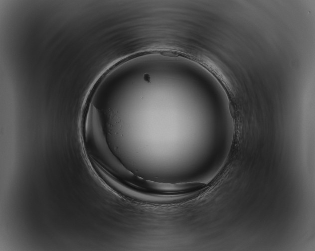 X0000095921092200801111230