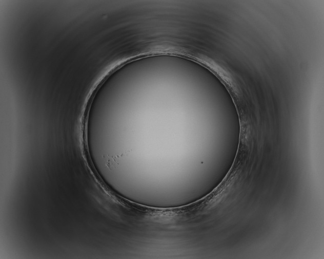 X0000095921094200801111230