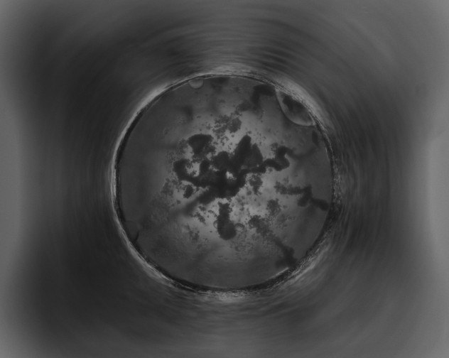 X0000095921095200801111230