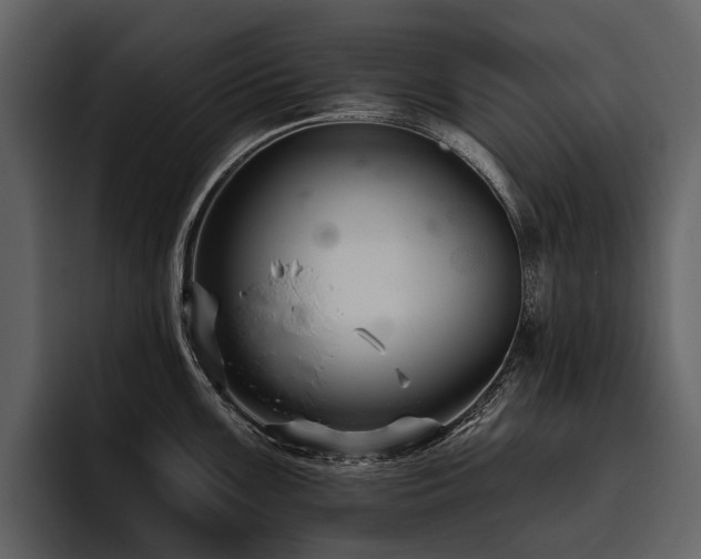 X0000095921099200801111230