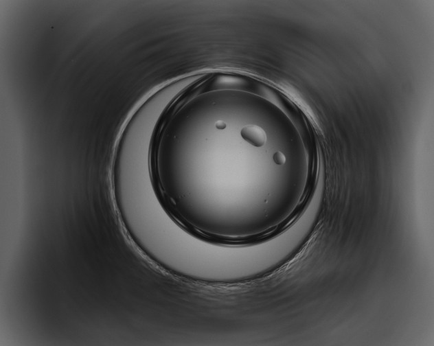 X0000095921100200801111230