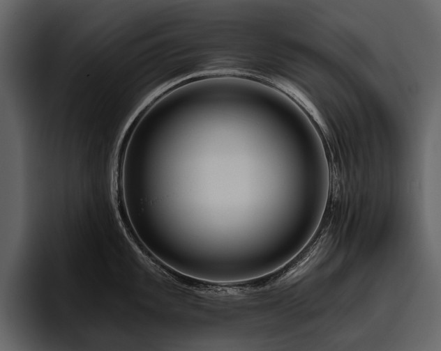 X0000095921101200801111230