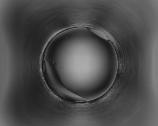 X0000095921102200801111230