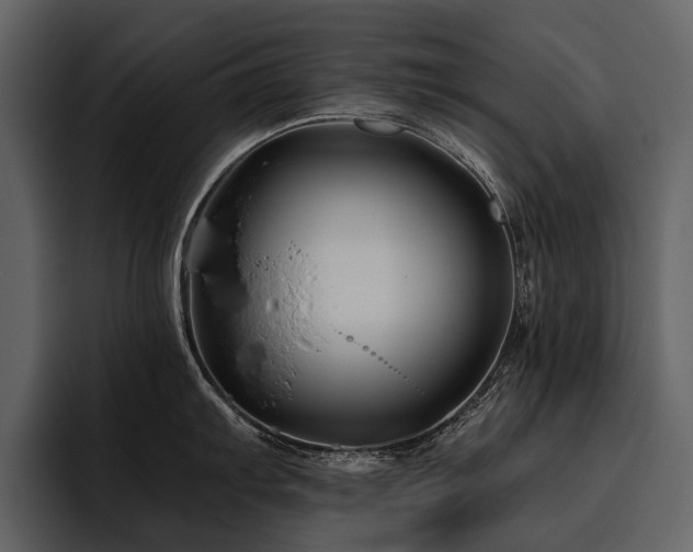X0000095921103200801111230