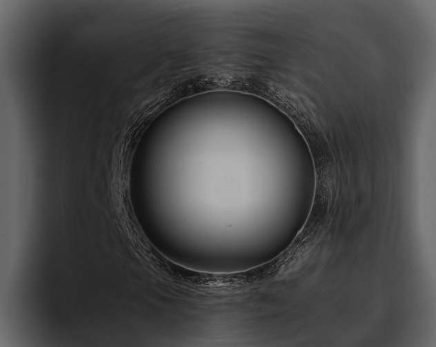 X0000095921105200801111229