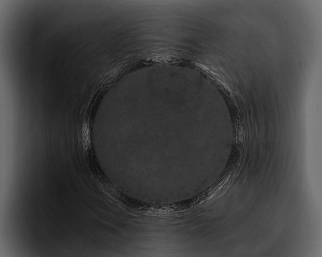 X0000095921106200801111229
