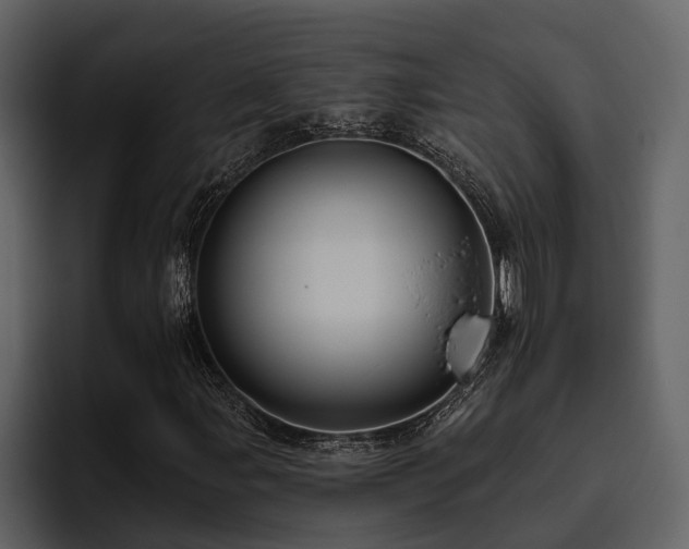 X0000095921107200801111229