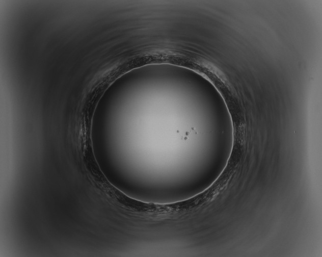 X0000095921111200801111229