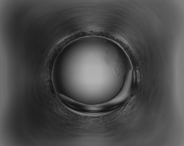 X0000095921112200801111229