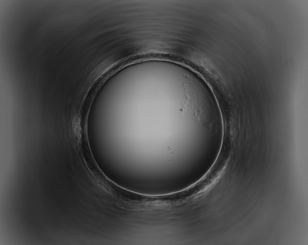 X0000095921113200801111229