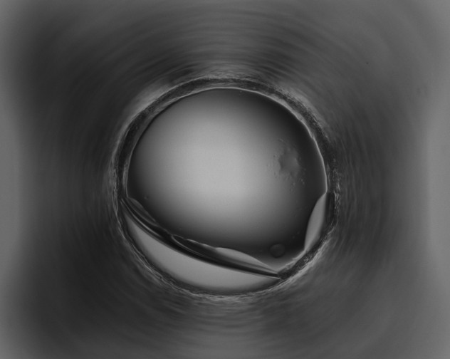 X0000095921114200801111229