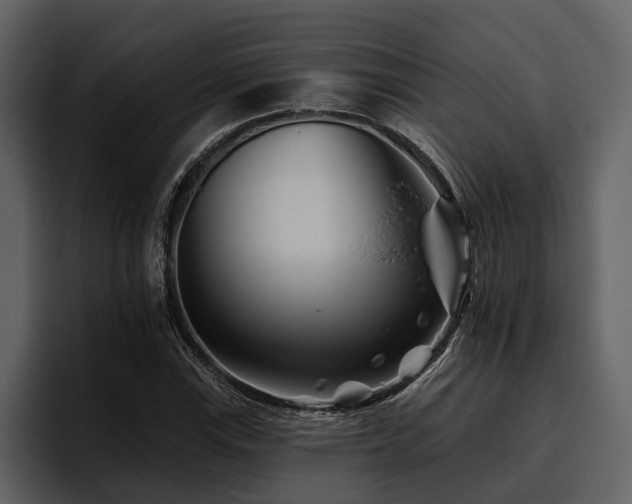 X0000095921115200801111229