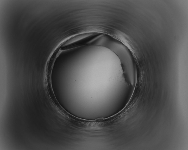 X0000095921116200801111229
