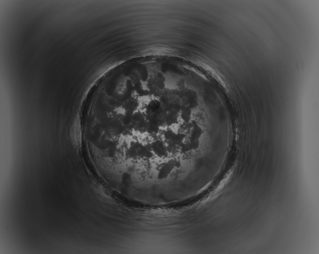 X0000095921117200801111229