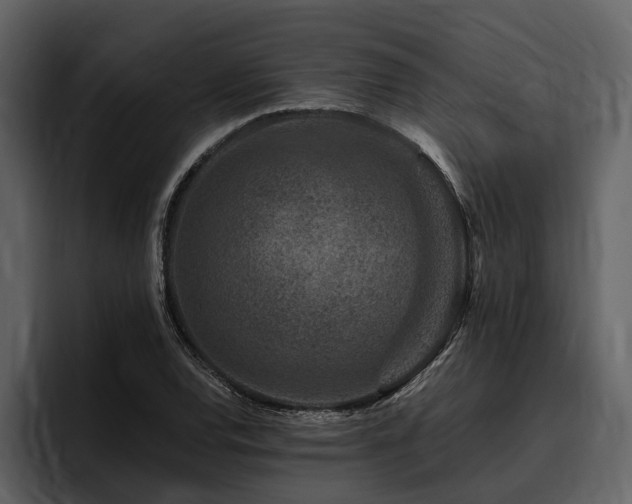 X0000095921120200801111230