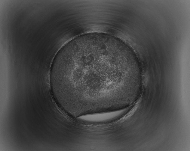 X0000095921121200801111230