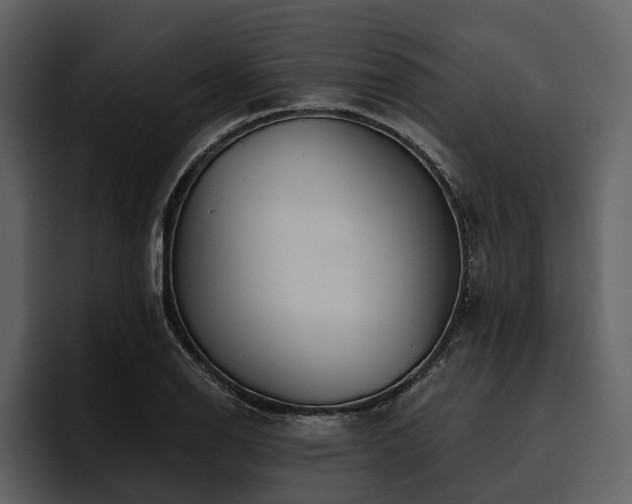 X0000095921126200801111230
