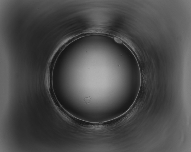 X0000095921131200801111230