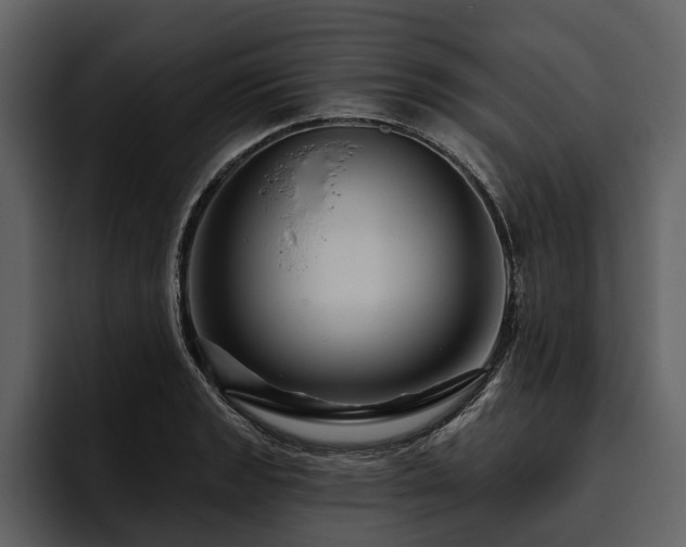 X0000095921133200801111230
