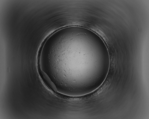 X0000095921135200801111230