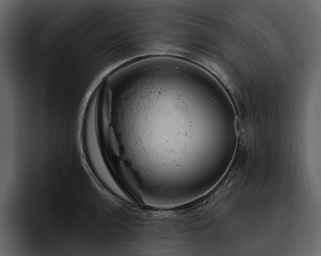 X0000095921136200801111230