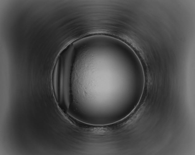 X0000095921137200801111230
