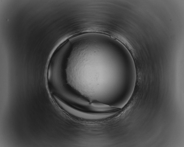 X0000095921138200801111230