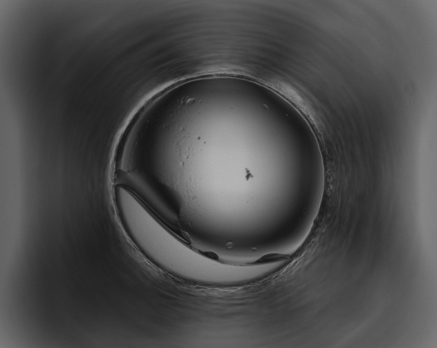 X0000095921140200801111230