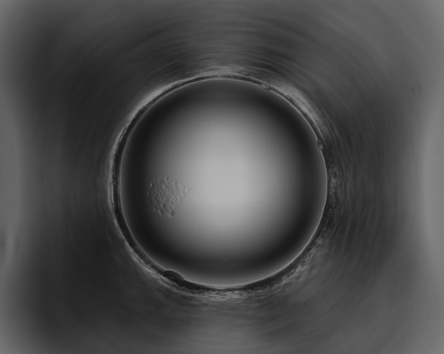X0000095921143200801111230